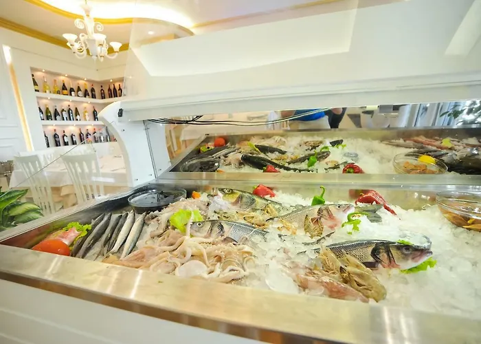 فندق إيليريا إنترناثونال 4*